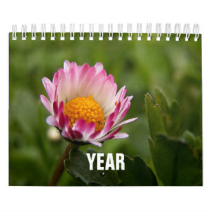Classic, Familar Calendar