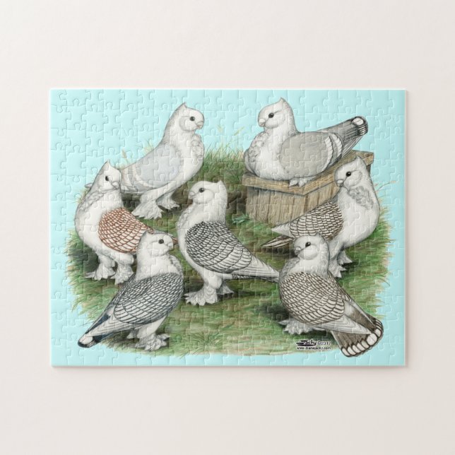Classic Frill Pigeons Jigsaw Puzzle (Horizontal)