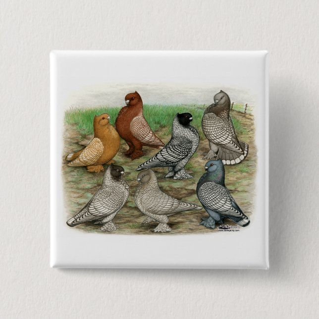 Classic Frill Pigeons Laced Blondinettes 2 Inch Square Button (Front)