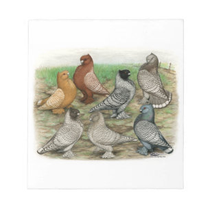 Classic Frill Pigeons Laced Blondinettes Notepad