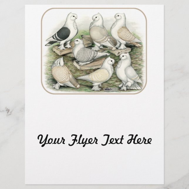 Classic Frill Pigeons Satinettes Flyer (Front)