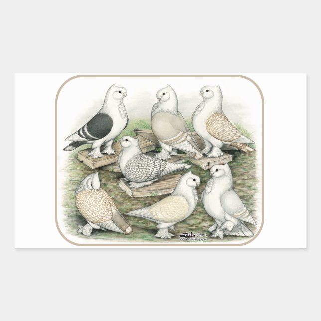 Classic Frill Pigeons Satinettes Sticker (Front)
