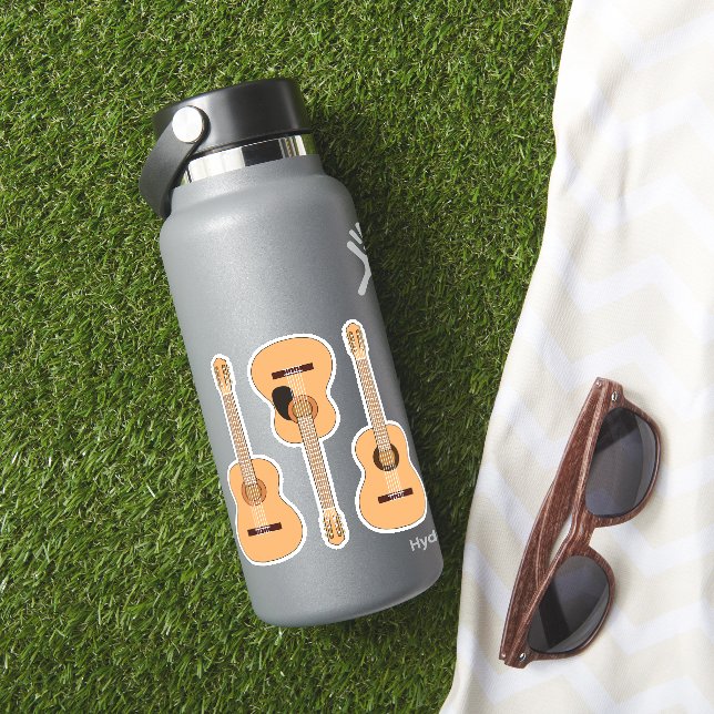 Classic guitar 3 pcs ! (HydroFlask Insitu)