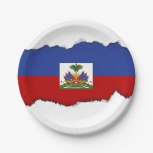 Classic Haitian Flag Paper Plate