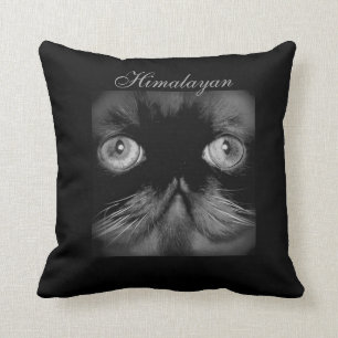 CLASSIC HIMALAYAN CAT DECORATIVE PILLOW