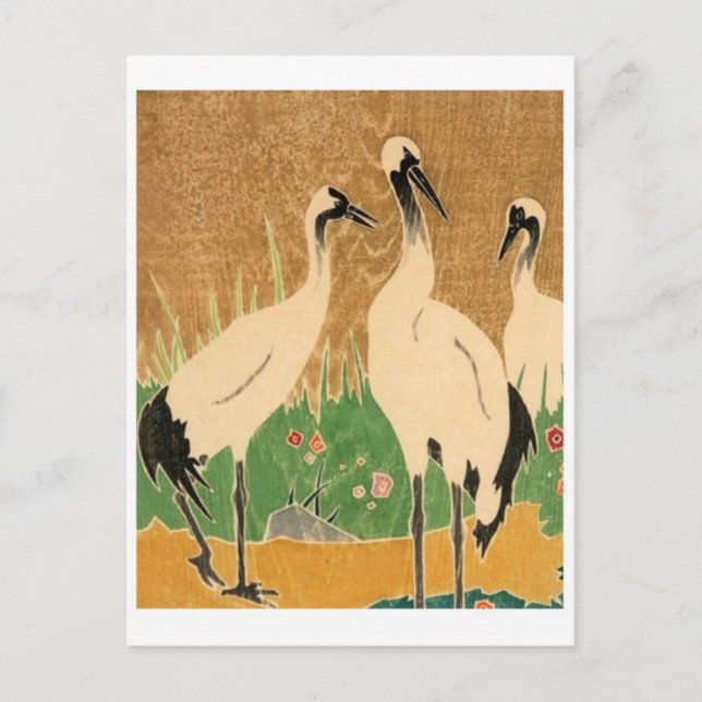 Classic Illustration Postcard (Front)