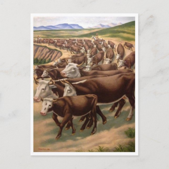 Classic Illustration Postcard (Front)