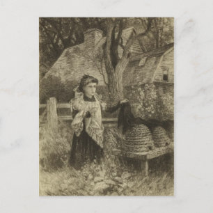 Classic Illustration Postcard