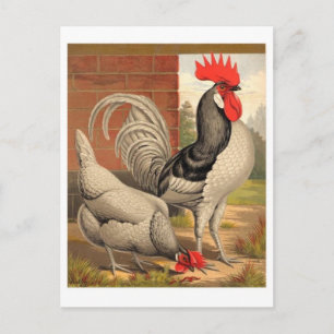 Classic Illustration Postcard