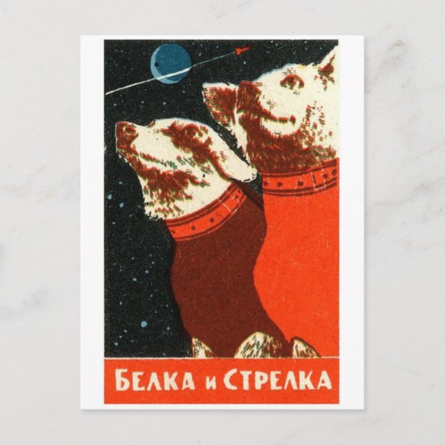 Classic Illustration Postcard (Front)