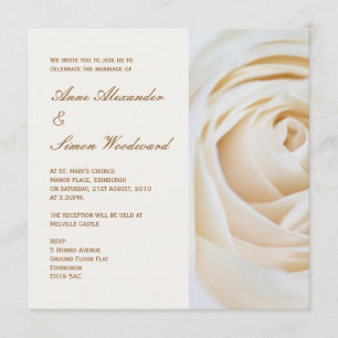 Classic Ivory White Rose Wedding Invitiation Invitation