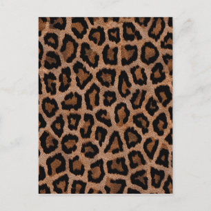Classic Leopard Pattern Animal Print Postcard