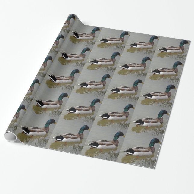 CLASSIC MALLARD DUCK WRAPPING PAPER (Unrolled)