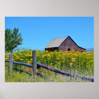 CLASSIC OLD BARN SURROUNDED BY YELLOW WILDFLOWERS POSTER