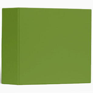 Classic Olive Drab Binder for Work or School Files