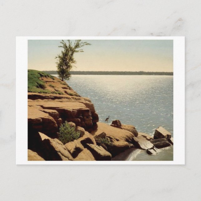 Classic Painting Postcard (Front)