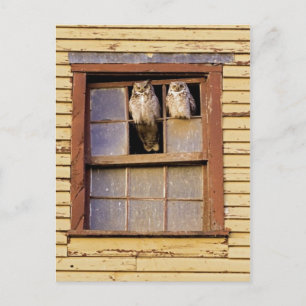 Classic Photo Postcard