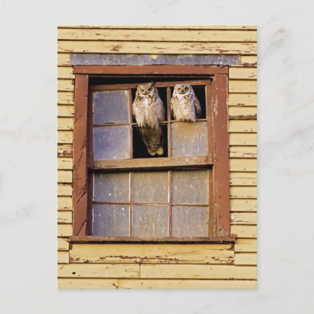 Classic Photo Postcard (Front)