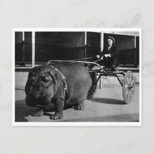 Classic Photo Postcard