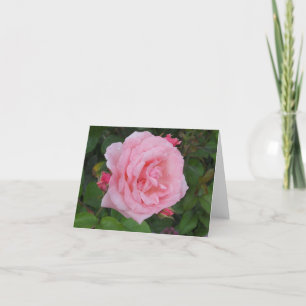 Classic Pink Rose Blank Folded Note Card