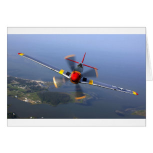 Classic Plane
