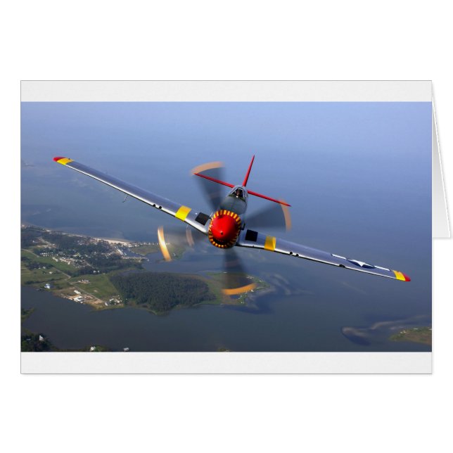 Classic Plane (Front Horizontal)