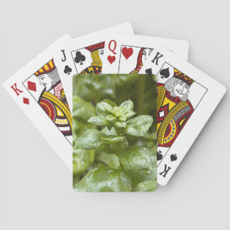 Classic Playing Cards