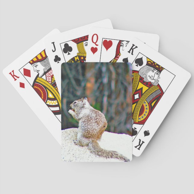 Classic Playing Cards of squirrel (Back)