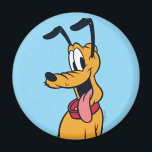 Classic Pluto Red Collar Magnet<br><div class="desc">Bring home the world’s most famous pup! This vibrant artwork features Pluto, Mickey Mouse’s loyal and lovable companion, in his iconic happy-go-lucky pose. With his cheerful expression, wagging tail, and signature red collar, this design captures the timeless charm of classic animation. The clean lines and bold colors make this graphic...</div>