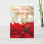 Classic  Poinsettia Romantic Christmas Holiday Card<br><div class="desc">Classic  Poinsettia Romantic Christmas</div>