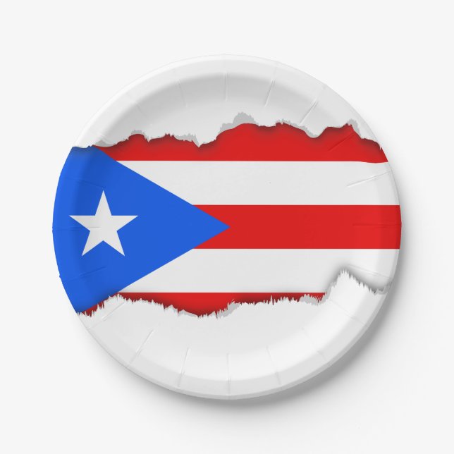 Classic Puerto Rican Flag Paper Plate (Front)