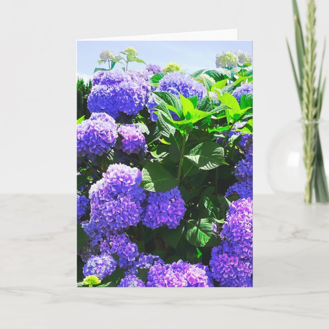 Classic Purple Realistic Hydrangea Greeting Card (Front)