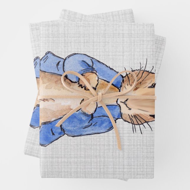 Classic rabbit in blue jacket wrapping paper sheet (In situ)