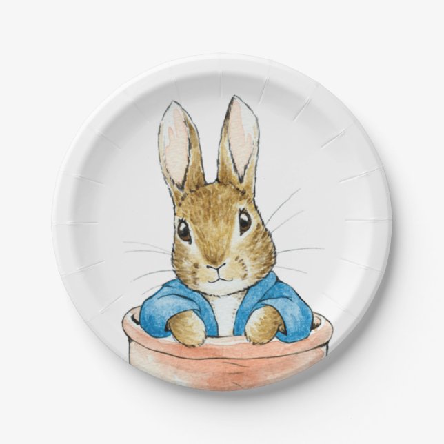 Classic rabbit sitting in plant pot paper plate (Front)