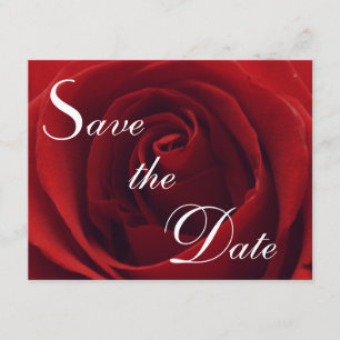 Classic Red Rose Save the Date Wedding Invitation