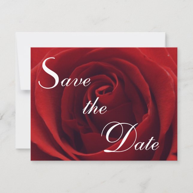 Classic Red Rose Save the Date Wedding Invitation (Front)