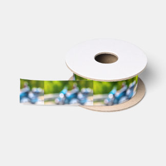 classic rider satin ribbon