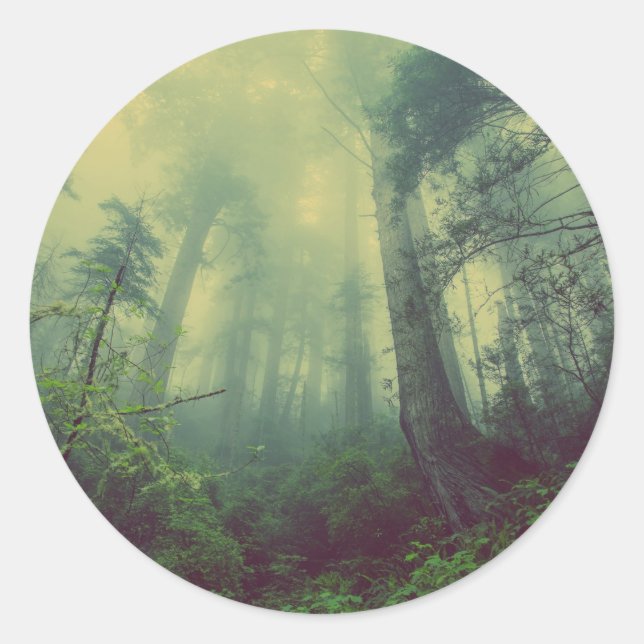 Classic Round Sticker (Front)