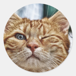 Classic Round Sticker