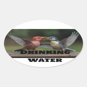 "Classic Round Stickers: Timeless Elegance for Ev Oval Sticker