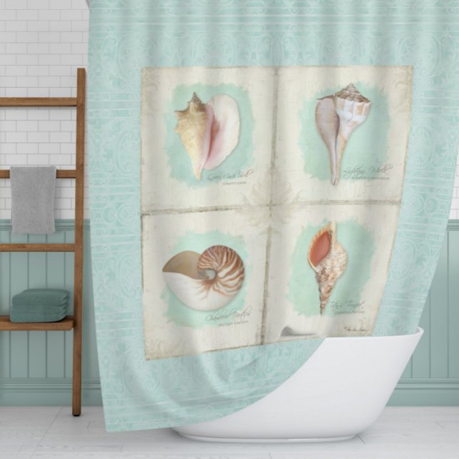 Classic Sea Shells Beach Ocean Shore Aqua Blue (Creator Uploaded)