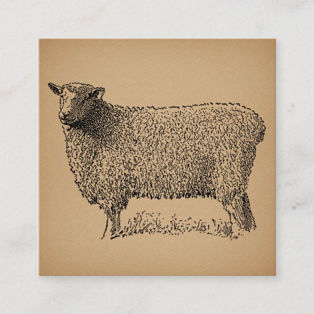 Classic Sheep Art Illustration Antique Farm Animal Enclosure Card (Front)