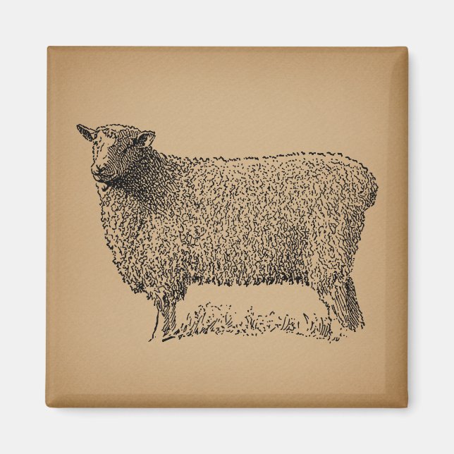 Classic Sheep Art Illustration Antique Farm Animal Magnet (Front)