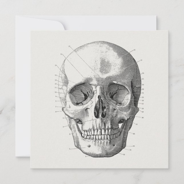 Classic Skull Diagram Illustration Card (Front)