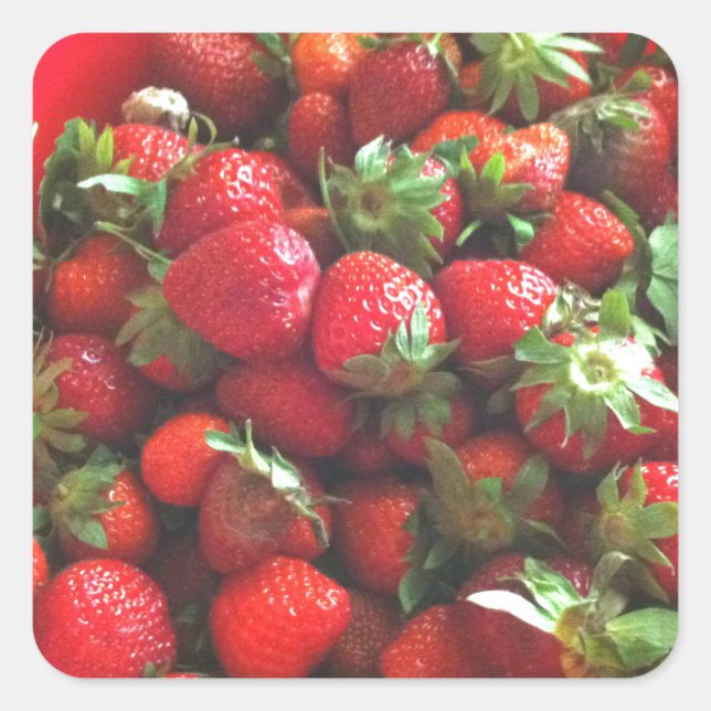 Classic Strawberries Square Sticker (Front)