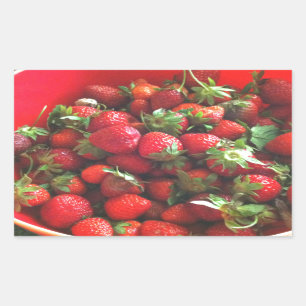 Classic Strawberries Sticker