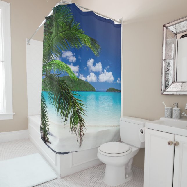 Classic Tropical Island Beach Paradise (In Situ)