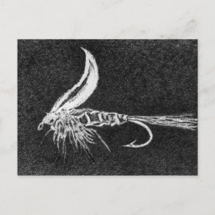 Classic Trout Fly Postcard Gold Ribbed Hare"s Ear