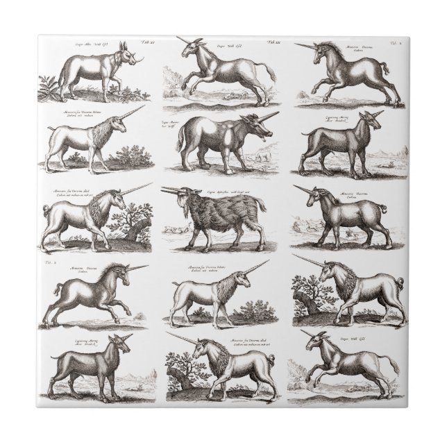Classic Unicorn Antique Mythical Magical Creature Tile (Front)