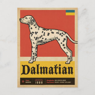 Classic Vintage Dalmation Postcard